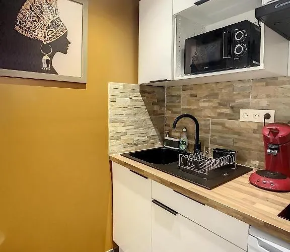 Apartament Hyper Centre Safari Equipe Wifi Netflix 2pers Amiens