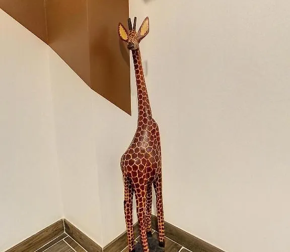 Hyper Centre Safari Equipe Wifi Netflix 2pers Apartament *