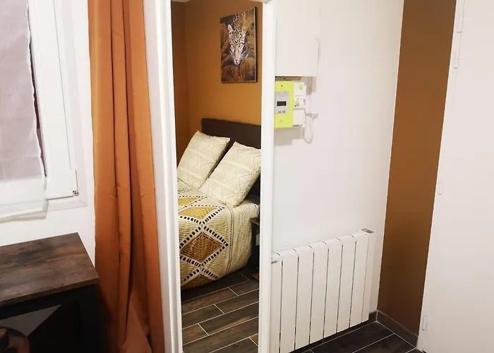 Apartament Hyper Centre Safari Equipe Wifi Netflix 2pers *